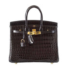 Hermès Birkin 25 Black Crocodile Bag GHW