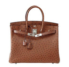 Hermès Birkin 35 Ostrich Etrusque Bag PHW