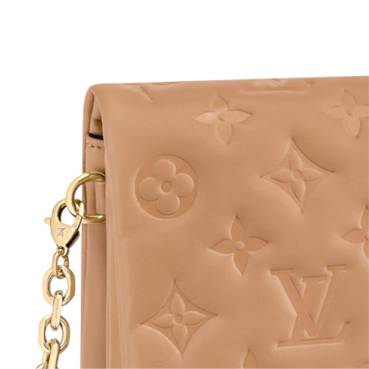 Louis Vuitton Pochette Coussin Camel