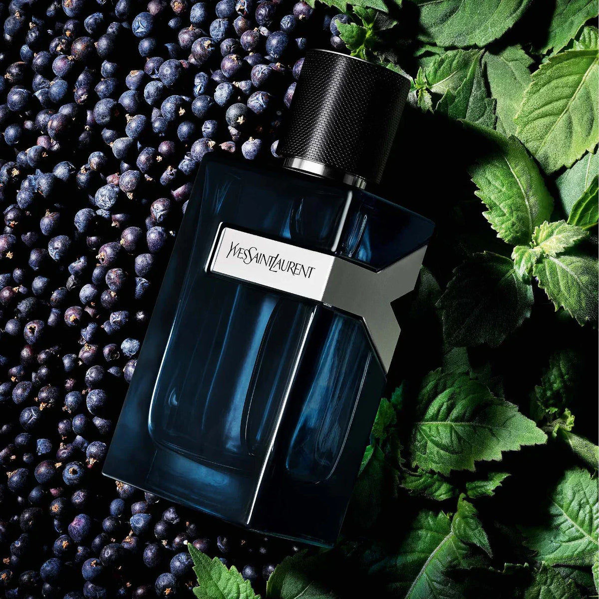 YSL Y Eau de Parfum Intense - Juniper & Lavender 100ml/3.4oz